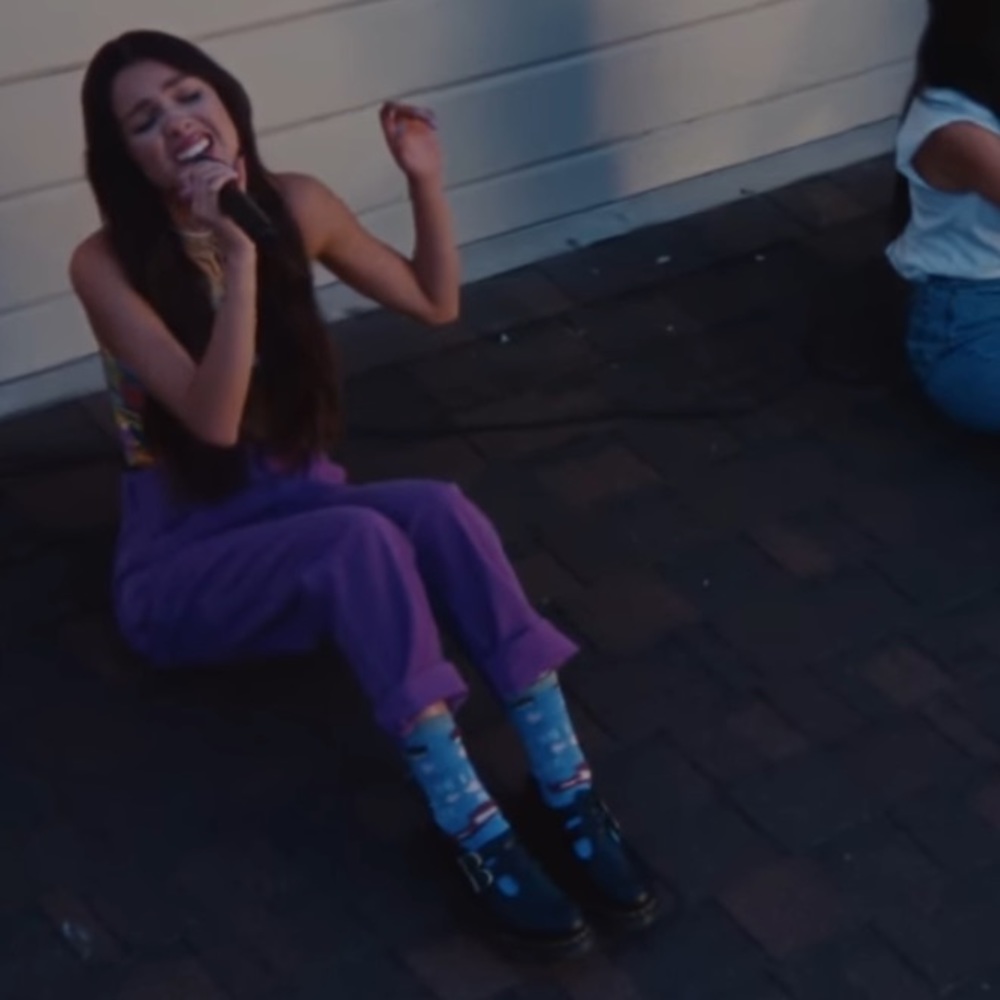 Target I Love You Like No Otter Socks as seen on Olivia Rodrigo NWT